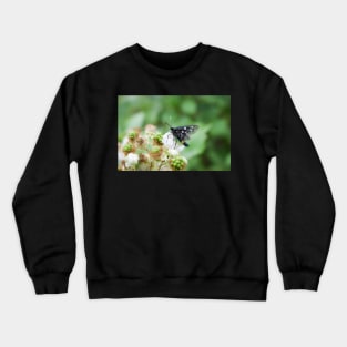 Nine-spotted moth Crewneck Sweatshirt